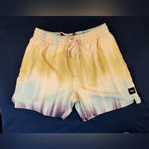 Vans Mixed Volley Board Shorts Mens Small Green Tie-Dye Ombre